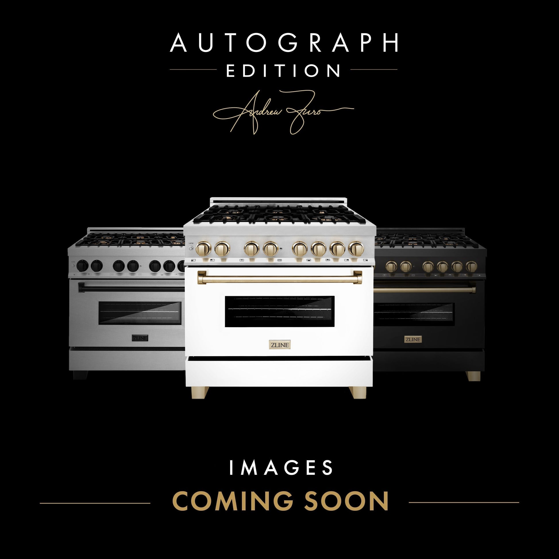 ZLINE 48 in. Autograph Edition Kitchen Package with Stainless Steel Dual Fuel Range with White Matte Door, Range Hood and Dishwasher with Polished Gold  Accents (3AKP-RAWMRHDWM48-G)