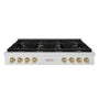 ZLINE 48 in. Autograph Edition Paramount Gas Rangetop with 8 Burners and Porcelain Cooktop in DuraSnow® Stainless Steel with Champagne Bronze Accents (SRTSZ-48-CB)